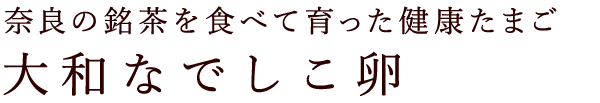 奈良の銘茶を食べて育った健康たまご 大和なでしこ卵