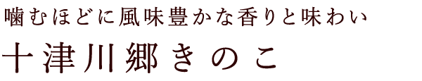 噛むほどに風味豊かな香りと味わい 十津川郷きのこ